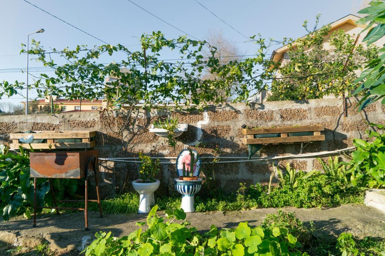 Growth House Bed & Breakfast Porto Luaran gambar