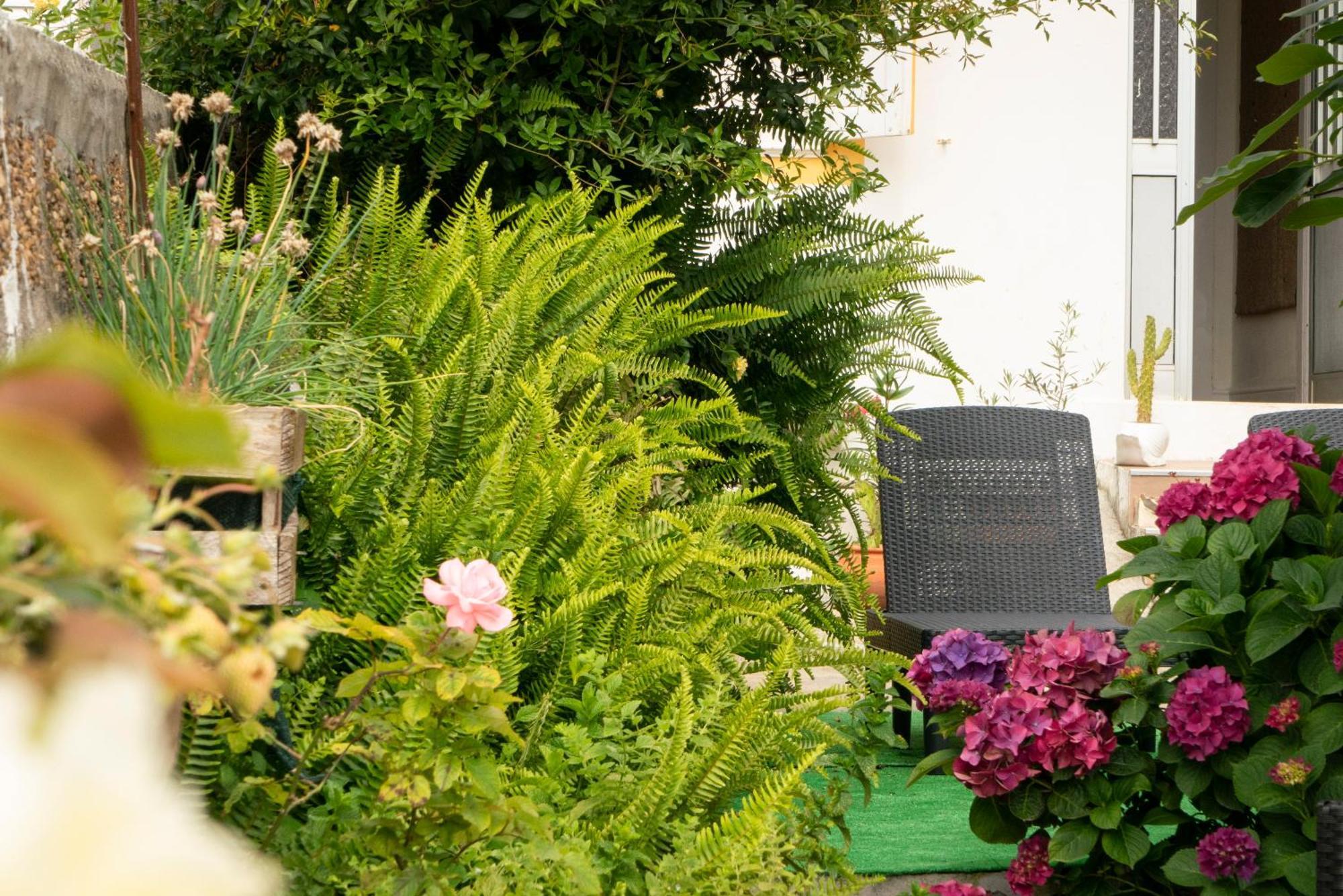 Growth House Bed & Breakfast Porto Luaran gambar