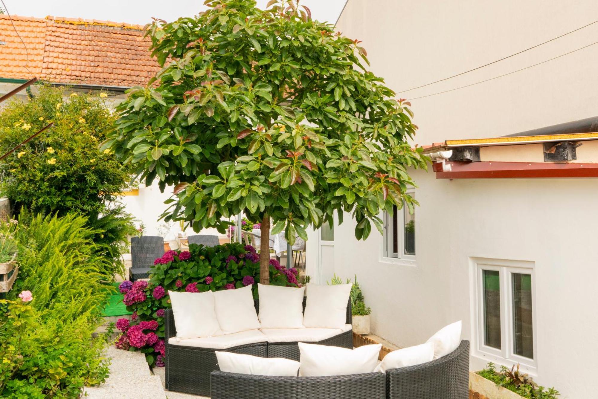 Growth House Bed & Breakfast Porto Luaran gambar